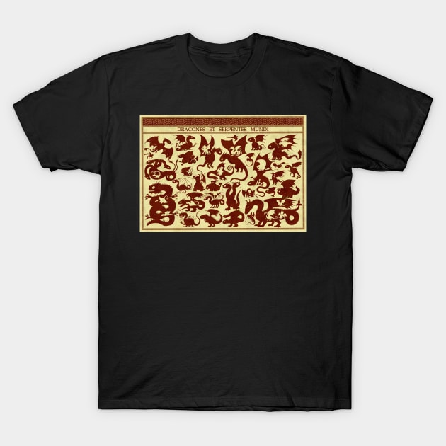 Dragons and Serpents T-Shirt by djrbennett